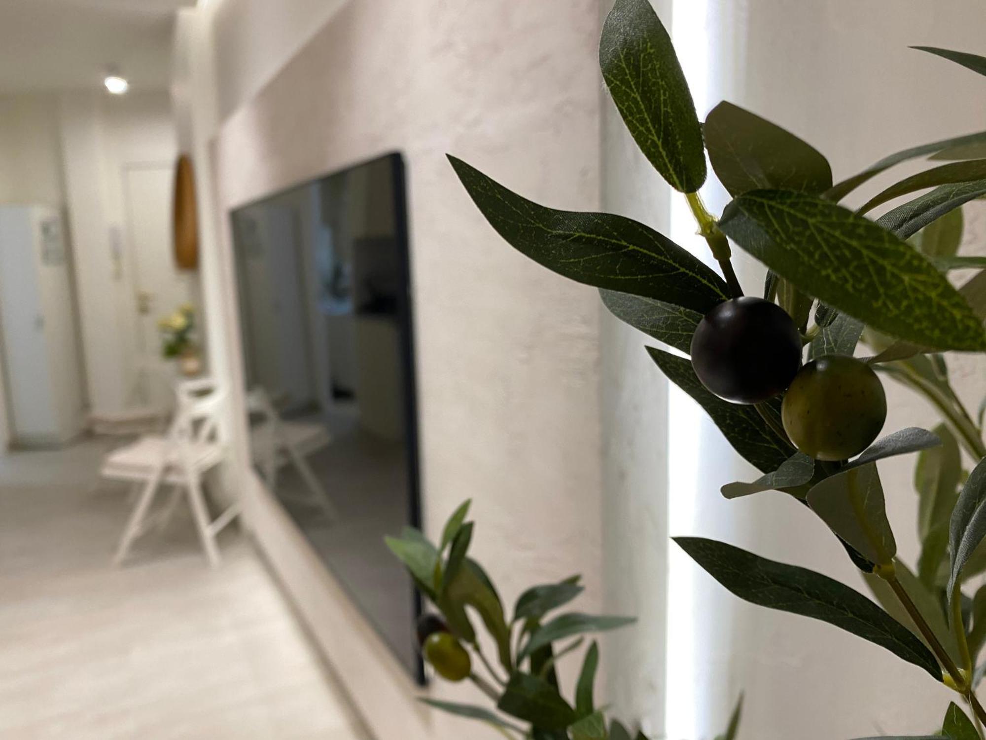 Studio With Views Next To Puerto Marina The Green Door Benalmadena Exterior photo